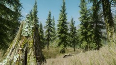 The elder scrolls v skyrim