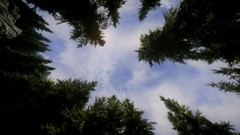 The elder scrolls v skyrim