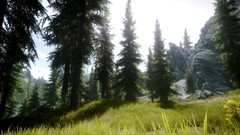 The elder scrolls v skyrim