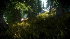 The elder scrolls v skyrim