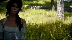 The elder scrolls v skyrim