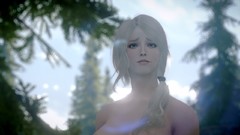 The elder scrolls v skyrim