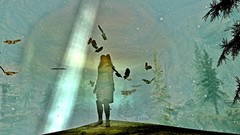 The elder scrolls v skyrim brunettes Temptress