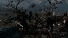 The elder scrolls v skyrim combat