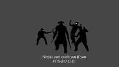The elder scrolls v skyrim ninjas cant catch you if