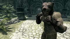 The elder scrolls v skyrim screenshots