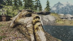 The elder scrolls v skyrim the elder scrolls screenshots