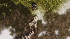 The elder scrolls v skyrim the elder scrolls video games