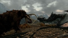 The elder scrolls v skyrim video games