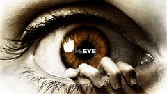 The eye