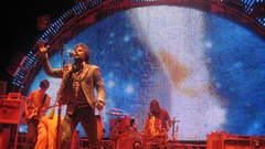 The flaming lips wayne