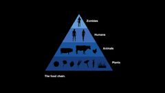 The food chain sorry