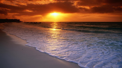 The forgot shoop beachbg