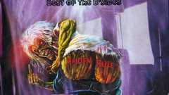 The head iron maiden