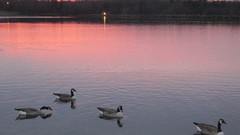 The Lake high nature