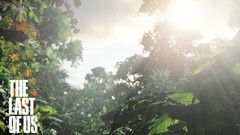 The last of us