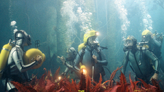 The Life Aquatic with