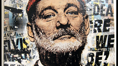 The Life Aquatic with