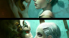 The long Evolution of