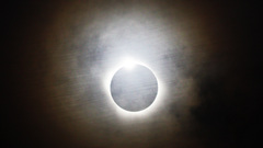 The looks like that have ing schneider bandedcorona