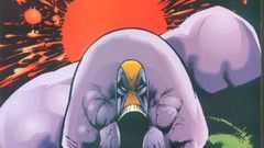 The Maxx high