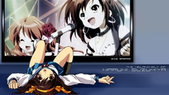 The melancholy of haruhi