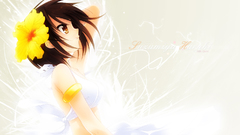 The melancholy of haruhi