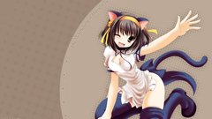 The melancholy of haruhi