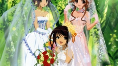 The melancholy of haruhi