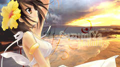 The melancholy of haruhi