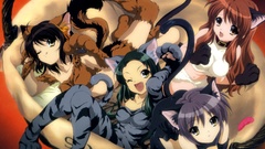 The melancholy of haruhi