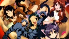 The melancholy of haruhi