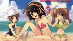 The melancholy of haruhi