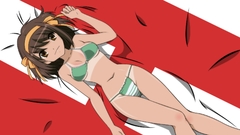 The melancholy of haruhi