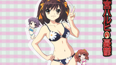 The melancholy of haruhi