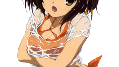 The melancholy of haruhi