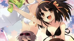 The melancholy of haruhi