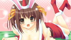 The melancholy of haruhi