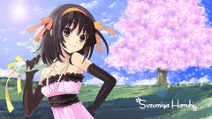 The melancholy of haruhi
