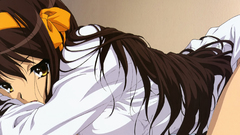 The melancholy of haruhi