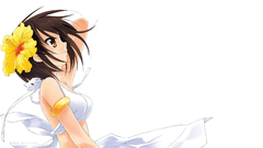 The melancholy of haruhi