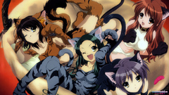 The melancholy of haruhi