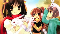 The melancholy of haruhi suzumiya