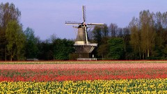 The Netherlands
