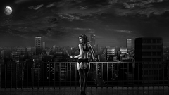 The night No definite