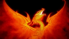 The phoenix high bird