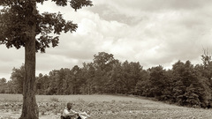 The reading tree high