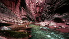 The rosy. lazy make Got This also