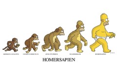 The Simpsons Homer Simpson