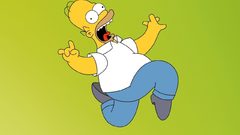 The Simpsons Homer Simpson